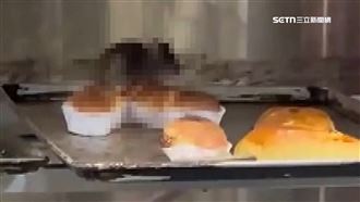 名店「鼠踩麵包」亂竄　民眾嚇瘋：不敢買