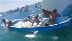 數千隻羊在大海中載浮載沉。（翻攝 Israel Against Live Shipments粉絲專頁）