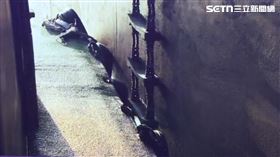 引水人 示意圖/資料照