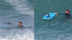 南非企鵝站上衝浪板破浪前行畫面曝光，萌翻一眾網友。（圖／翻攝自Instagram／bodyboard_southafrica）