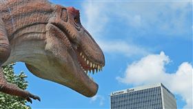 ▲地獄蟻（Vulcanidris）與包括恐龍在內各種古生物共存於1億多年前的生態系中，牠那宛如鐮刀的顎骨可刺穿獵物。（示意圖／PIXABAY）