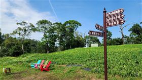 農遊輕旅行,繡球金針農遊趣,桃園市農業局