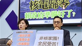 國民黨團籲核三廠延役　維持能源安全穩定電價核三廠2號機將於17日除役，國民黨立法院黨團1日舉行「核電歸零 賴政府準備好了？」記者會，黨團副書記長王育敏（左）及立委葛如鈞（右）出席，主張核三廠繼續延役，以維持能源安全，穩定電價，也符合台灣在國際上減碳的承諾。中央社記者鄭清元攝  114年5月1日