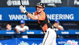 ▲中職36年例行賽，統一獅指定打擊陳傑憲。（圖／記者劉彥池攝影）