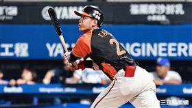 ▲中職36年例行賽，統一獅三壘手林子豪炸裂陽春砲。（圖／記者劉彥池攝影）