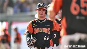 ▲中職36年例行賽，統一獅二壘手林靖凱靠林佳緯的安打跑回第2分。（圖／記者劉彥池攝影）