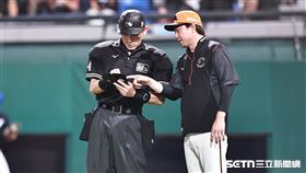 ▲中職36年例行賽，統一獅總教練林岳平上場更換守備陣容。（圖／記者劉彥池攝影）