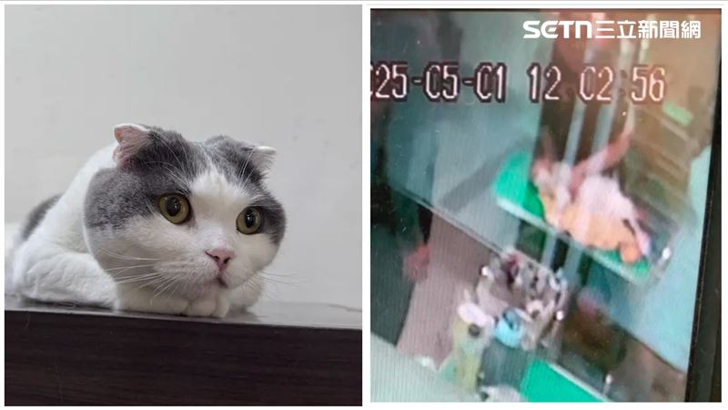 獨/2聲死畫面曝 店家提告:剖遺體說話