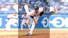 ▲富邦悍將與布坎南已達成共識。（圖／翻攝自X平台 @SwallowPr）