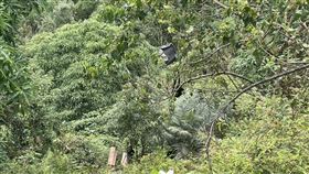 汽車墜落山谷現場情形。（圖／翻攝畫面）