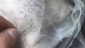 女店主指控學生退貨的衣服有污漬。（圖／翻攝自微博）