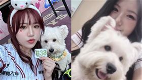 樂天女孩5/2寵物趴(圖/樂天桃猿提供)