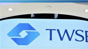 ▲20家創新板掛牌公司，已有13家成功實現獲利。（圖／翻攝自台灣證交所官網）