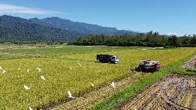 花蓮玉里東豐與富里銀川成立有機農業促