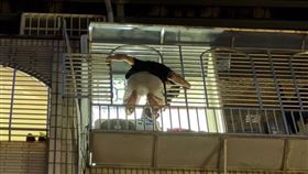 桃園黃姓男子酒後失控，爬鐵窗大吼被警消救下。（圖／翻攝畫面）