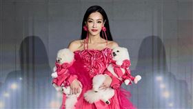 王思佳多年來給人貴婦形象。(圖／翻攝自臉書）