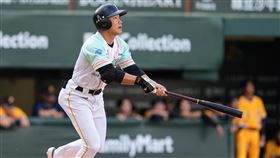 ▲台鋼雄鷹王柏融本季首轟出爐。（圖／台鋼雄鷹提供） 