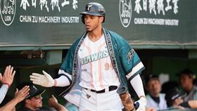 ▲台鋼雄鷹魔鷹接力王柏融開轟，攜手大王締造隊史首次「背靠背」開轟。（圖／台鋼雄鷹提供） 