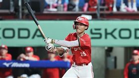 ▲味全龍張政禹用「魚雷球棒」掃出追平長打。（圖／味全龍提供）