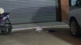 台南新營某民宅發生1起妻子拿水果刀刺老公的殺人未遂案。（圖／翻攝畫面）