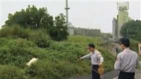 邱俊雄將少女棄屍在交流道旁的草叢，屍體被遛狗的民眾發現報警。（翻攝東森新聞）