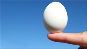 ▲立夏立蛋。（示意圖／攝影者William Klos, flickr CC License）