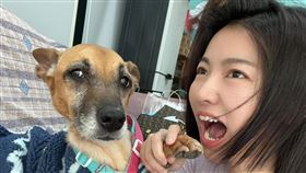 米可白。（圖／翻攝自臉書）