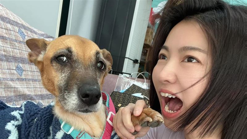 愛犬罹胃癌爆瘦!竟被路人嫌 米可白氣炸