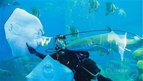 ▲澎湖水族館（圖／翻攝自澎湖水族館粉絲專頁）