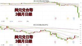 郭國文表示，預期心理導致台幣爆升？民眾看得不是楊金龍防線，而是川普紅線在哪裡？（圖／翻攝自郭國文臉書）