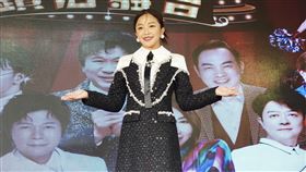 賴慧如出席「鑽石舞台之夜」演唱會記者會（圖／記者趙于瑩攝影）