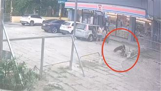 疑比特犬攻擊流浪犬　兇狠撕咬畫面曝光