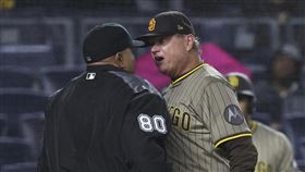 ▲教士總教練席爾特（Mike Shildt）抗議好球帶被趕出場。（圖／美聯社／達志影像）