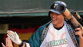 ▲台鋼雄鷹王柏融本季首轟出爐。（圖／台鋼雄鷹提供） 