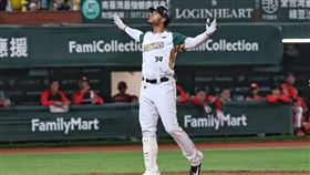 台鋼雄鷹洋砲魔鷹。（圖／台鋼雄鷹提供）