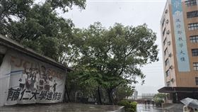 輔仁大學進修部。（圖／輔大提供） 