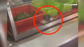 獨／華西街麵店老鼠出沒　竄食材櫃嗑蔬菜