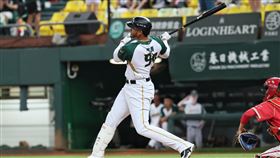 ▲台鋼雄鷹洋砲魔鷹第8轟出爐。（圖／台鋼雄鷹提供） 