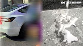 Uber司機親暴怒點「特斯拉是剛貸款100多萬買的4個月新車、養家的生財工具」。（圖／家長提供）