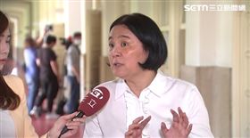 ▲陳玉珍認為朱立倫不用道歉，該道歉的是德國在臺協會。（圖／翻攝畫面）