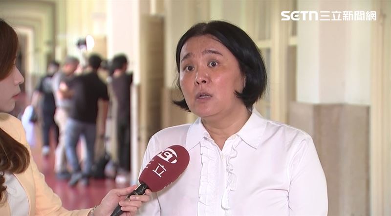 外傳鄭麗文對助理費除罪化不知情,陳玉珍表示,黨團會透過今日中常會讓主席知道整個過程。(資料圖/翻攝畫面)
