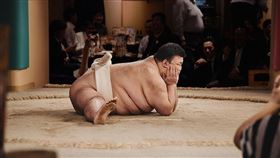 相撲選手,日本。（示意圖／PIXABAY）