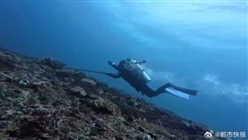 潛水,中國,GoPro,五一（圖／翻攝自「都市快報」微博）