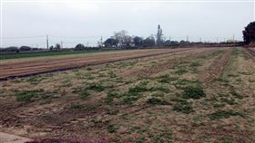 男未經許可捕撈鮪魚遭罰  拍賣農地抵繳部分罰鍰嘉義縣陳姓男子未經許可購買外籍漁船及捕撈鮪魚，遭處罰鍰合計新台幣400萬元，經行政執行署嘉義分署強制執行，6日拍賣其農地130萬餘元，抵繳部分罰鍰。（行政執行署嘉義分署提供）中央社記者黃國芳傳真  114年5月8日