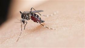 中國一名女子打蚊子沒打到，反而把手指打到骨折，相當誇張。（圖／翻攝微博）