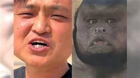 抖音網紅「狗王」因為與黑帽懸猴撞臉而引起熱議。（圖／《大皖新聞》微博）