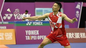 ▲台灣羽球男單一哥周天成。（圖／中華羽協提供） 