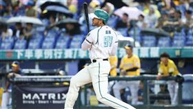 ▲台鋼雄鷹洋砲魔鷹，回歸9場轟出8發全壘打。（圖／台鋼雄鷹提供）