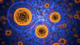 癌細胞。（圖／Pixabay）