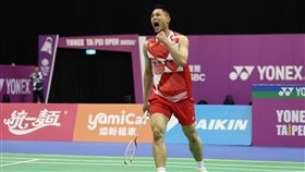 ▲周天成晉級台北羽球公開賽冠軍戰。（圖／中華羽協提供）